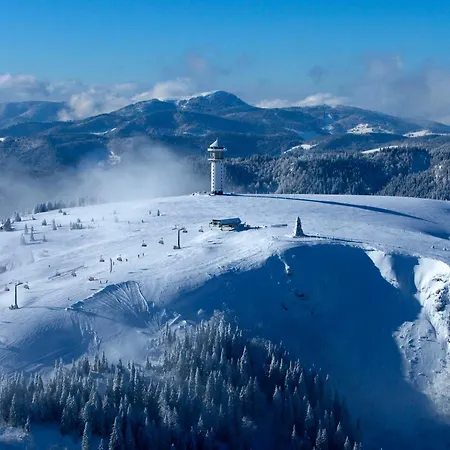 Schwarzwaldhorst 2 - Mit 4 Schlafzimmer - Todtnau, Liftverbund Feldberg Lägenhet