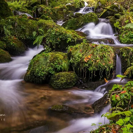 Lägenhet Schwarzwaldhorst 2 - Mit 4 Schlafzimmer - Todtnau, Liftverbund Feldberg Todtnau