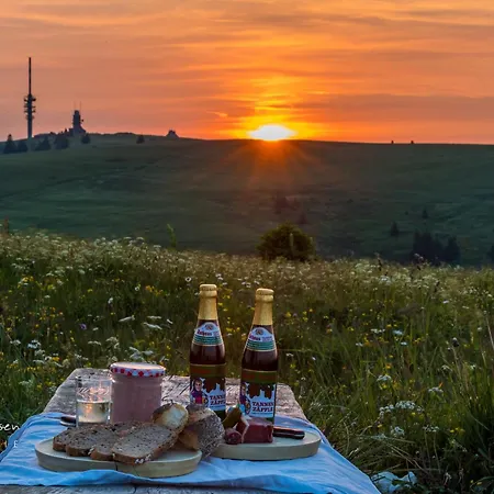 Schwarzwaldhorst 2 - Mit 4 Schlafzimmer - Todtnau, Liftverbund Feldberg Lägenhet *