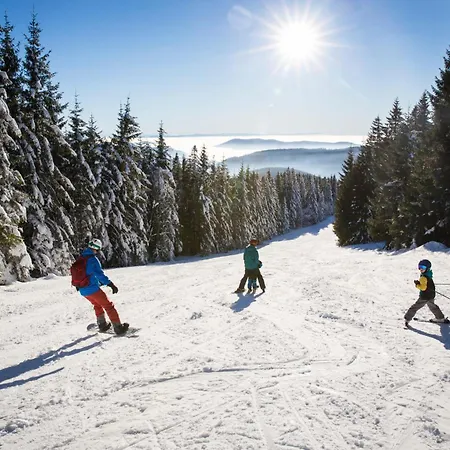 Schwarzwaldhorst 2 - Mit 4 Schlafzimmer - Todtnau, Liftverbund Feldberg Lägenhet Todtnau