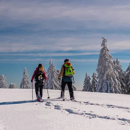 Schwarzwaldhorst 2 - Mit 4 Schlafzimmer - Todtnau, Liftverbund Feldberg Lägenhet Todtnau